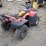 arctic-cat-300-image-4