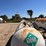 nh3-nurse-tank-(gp11402,-unit-47049,-tank-223)-image-3