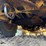 1998-deere-310se-image-53