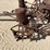 john-deere-999-image-18