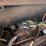1997-cummins-m11-image-61