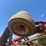 case-ih-330-image-10