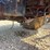agco-allis-7060-image-28