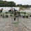 2007-krone-swadro-900-image-7