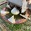tyler-dry-spreader-(jn2945,-unit-m1026)-image-19