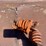 #1570-•-approx-4'-syntron-magnetic-feeder-image-6