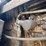 #32185-•-1995-case-international-7250-mfwd-tractor-jja0056887-image-42