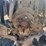 #1621-•-big-cam-turbo-diesel-cummins-engine-image-9
