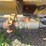 ingersoll-rand-sp56dd-image-33