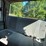 2001-ford-f250-image-23