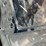 1994-white/gmc-wg64t-image-29