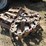 bobcat-853-image-1