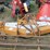 woods-rm660-image-2