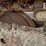 komatsu-pc220-lc-8-image-32