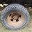 2004-dodge-ram-3500-image-7