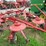 new-holland-169-image-4