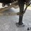 2016-great-dane-cs1-image-18