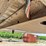 2016-great-dane-cs1-image-10