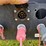 2024-demco-side-dump-image-16