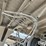 2016-great-dane-cs1-image-20