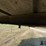 2017-wilson-psdcl-402-image-12