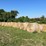 (50)-4'-x-5'-edge-wrapped-round-bales-of-hay-*offsite-image-8