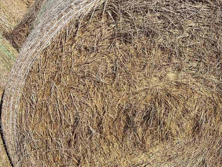 (50)-4'-x-5'-edge-wrapped-round-bales-of-hay-*offsite-image-10