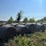 (50)-4'-x-5'-edge-wrapped-round-bales-of-hay-*offsite-image-11
