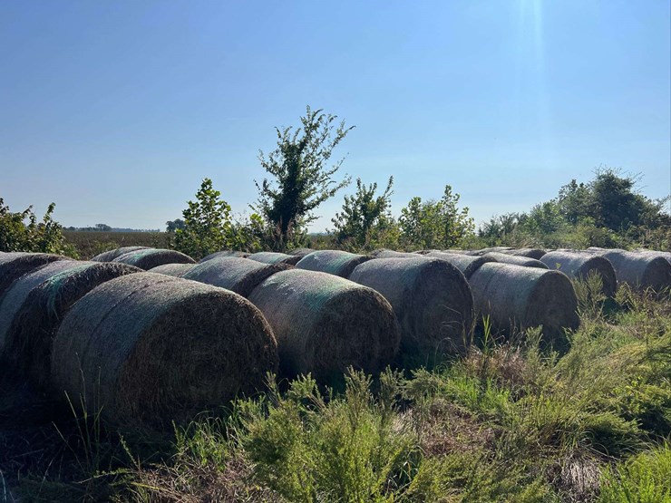 (50)-4'-x-5'-edge-wrapped-round-bales-of-hay-*offsite-image-11