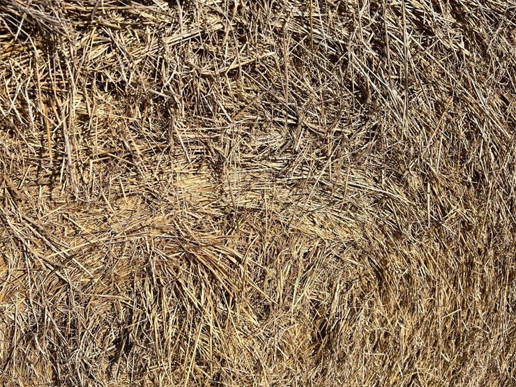 (50)-4'-x-5'-edge-wrapped-round-bales-of-hay-*offsite-image-5