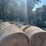 (50)-4'-x-5'-edge-wrapped-round-bales-of-hay-*offsite-image-14