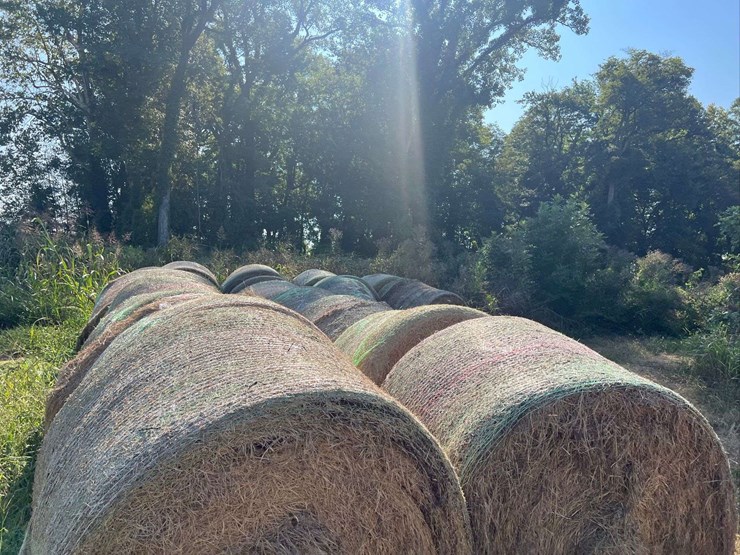 (50)-4'-x-5'-edge-wrapped-round-bales-of-hay-*offsite-image-14