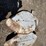 ford-tractor-image-9