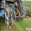 1979-ford-tractor-image-16