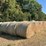 (50)-4'-x-5'-edge-wrapped-round-bales-of-hay-*offsite-image-4