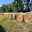 (50)-4'-x-5'-edge-wrapped-round-bales-of-hay-*offsite-image-20