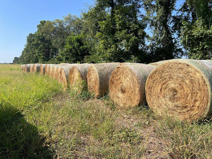 (50)-4'-x-5'-edge-wrapped-round-bales-of-hay-*offsite-image-20