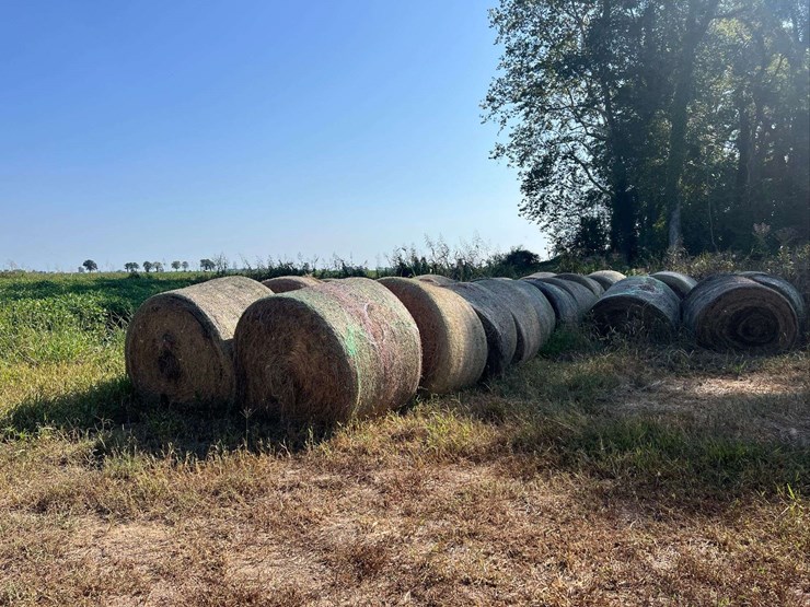 (50)-4'-x-5'-edge-wrapped-round-bales-of-hay-*offsite-image-21