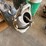 #124-•-central-pneumatic-50-lb.-spot-blaster-kit-image-1