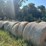 (50)-4'-x-5'-edge-wrapped-round-bales-of-hay-*offsite-image-15