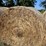 (50)-4'-x-5'-edge-wrapped-round-bales-of-hay-*offsite-image-16