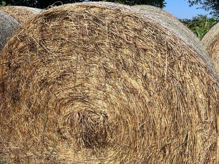 (50)-4'-x-5'-edge-wrapped-round-bales-of-hay-*offsite-image-16