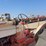 case-801-b-tractor-image-11