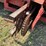 1997-case-ih-1083-image-8