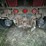 2004-ox-bodies-16-ft-image-16