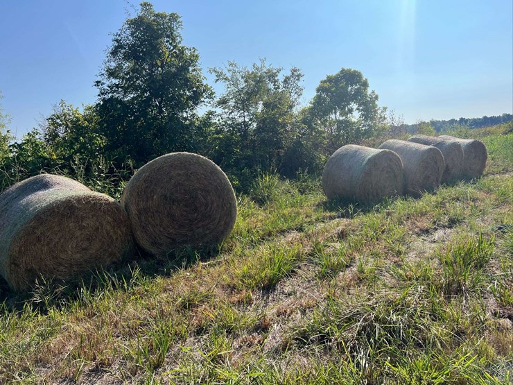 (50)-4'-x-5'-edge-wrapped-round-bales-of-hay-*offsite-image-13