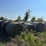 (50)-4'-x-5'-edge-wrapped-round-bales-of-hay-*offsite-image-12