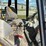 jcb-214s-image-13