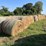 (50)-4'-x-5'-edge-wrapped-round-bales-of-hay-*offsite-image-9