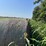(50)-4'-x-5'-edge-wrapped-round-bales-of-hay-*offsite-image-17